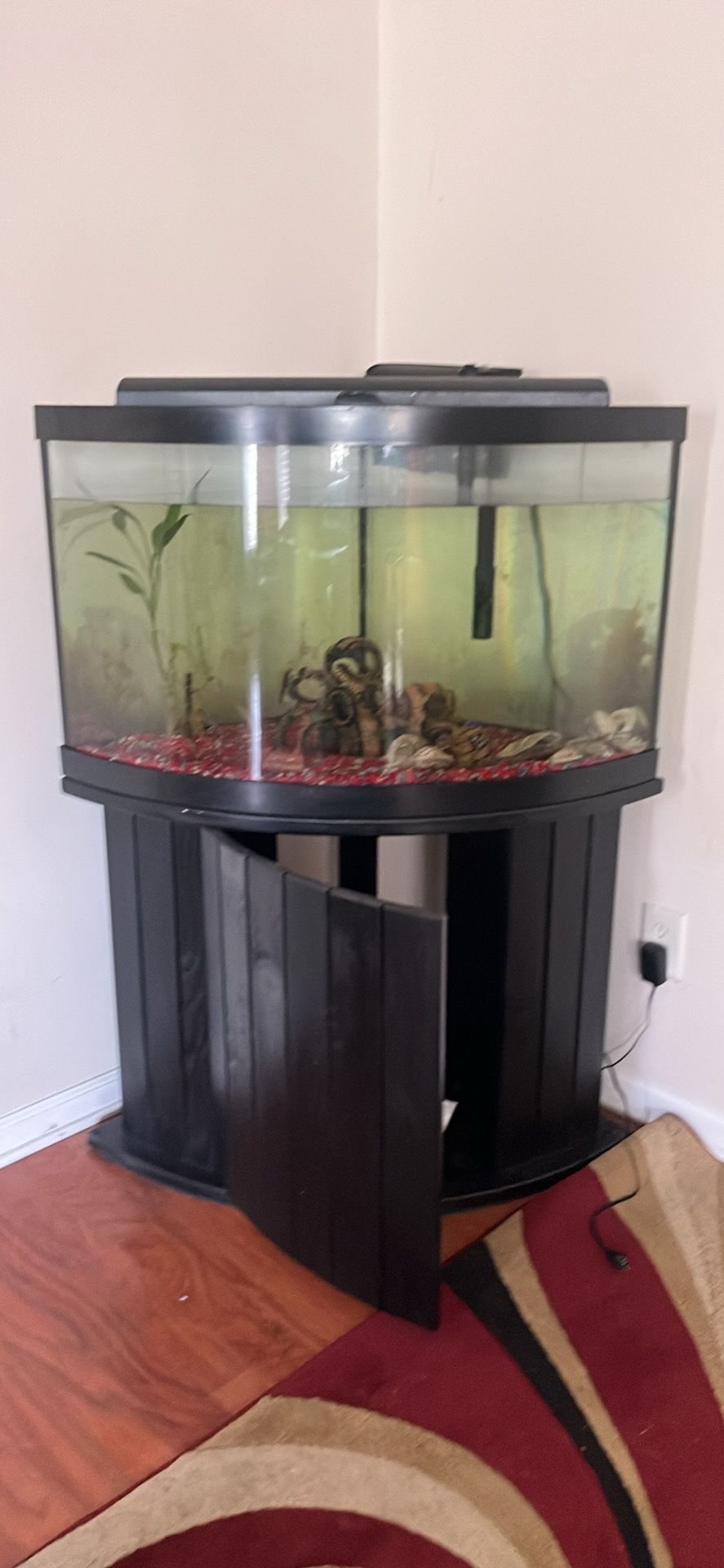 55 Gallon Tank and stand