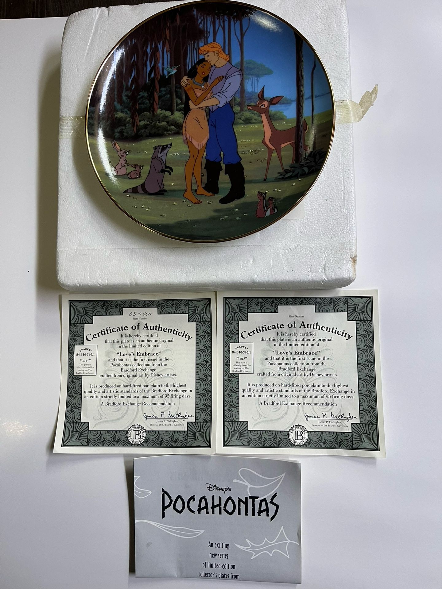 Disney Pocahontas  Collector Plate