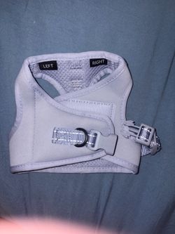 XS Boots & Barkley Dog Harness