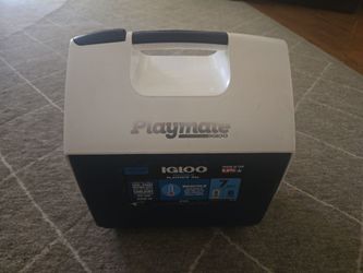 7qt cooler