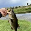 Fishing Stuff