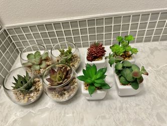 Artificial Succulents 