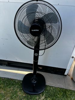 Fan