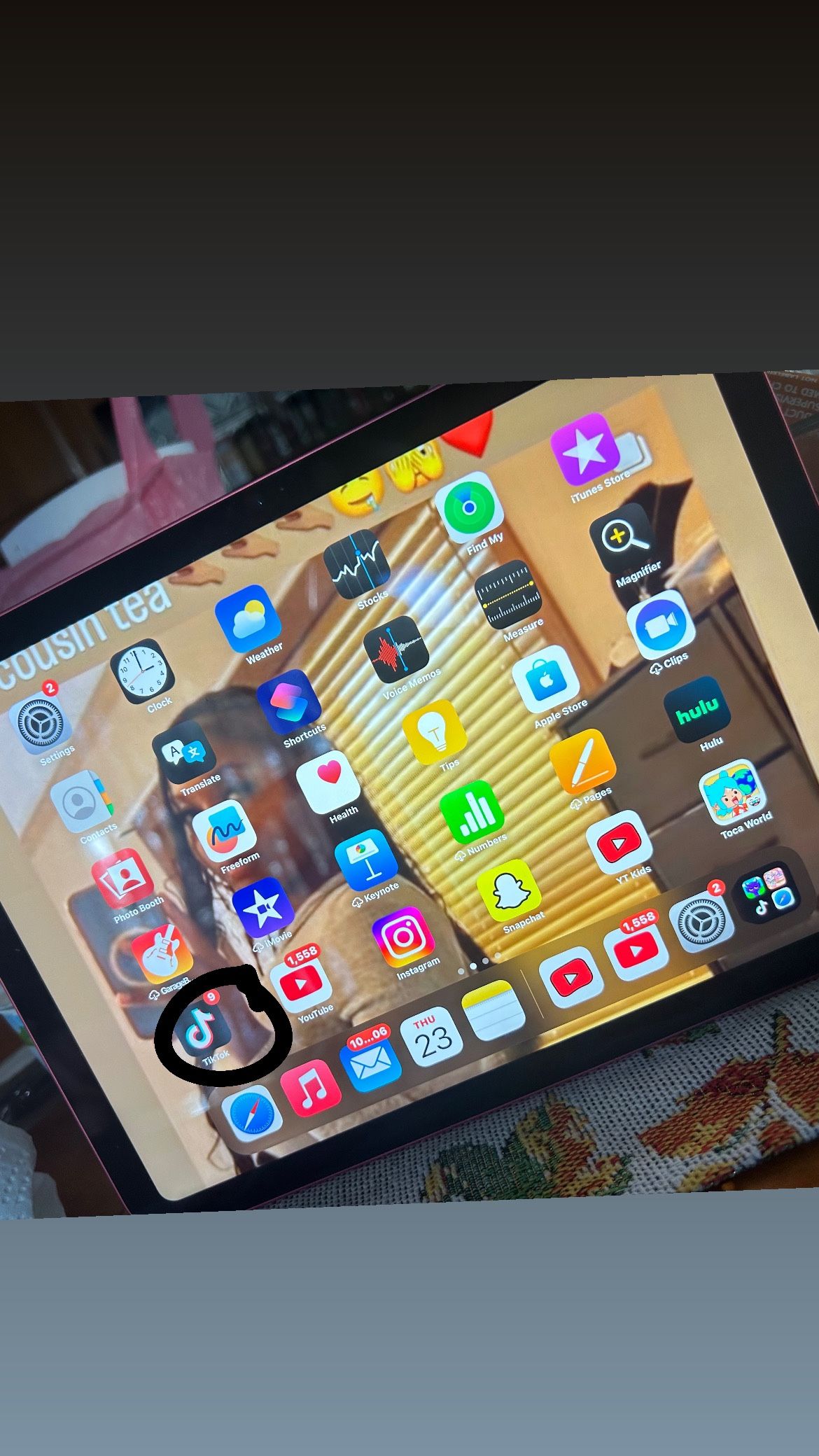Tiktok INSTALLED IOAD 10TH GEN PINK
