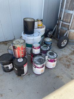 Assorted Paints