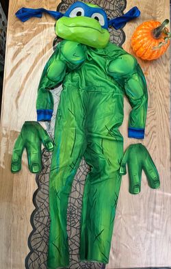 Ninja turtle costume