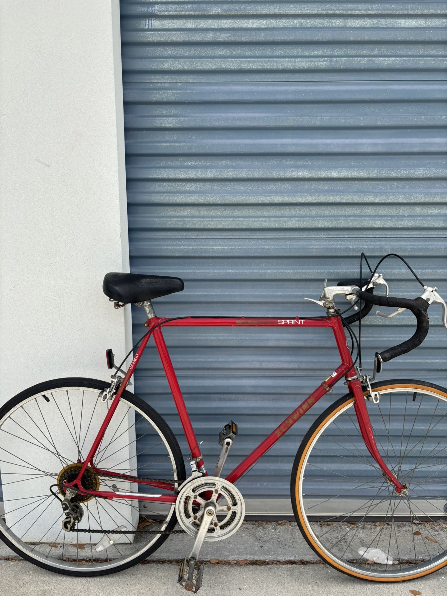 Schwinn Vintage Road Bike XL