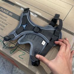 Small Dog/cat Harness W Leash Never Used