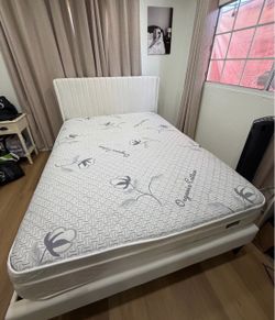 Queen Bed board and mattress