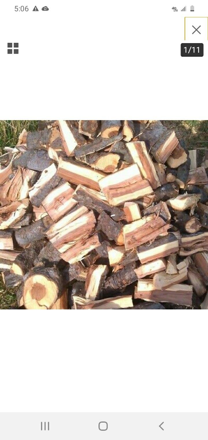 Dry Green oak fire wood best deals