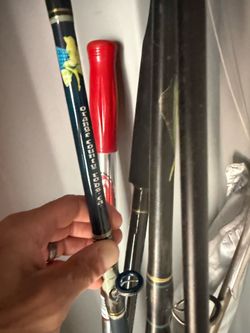 Orange County and seeker rod. Avet 5/2 reel.