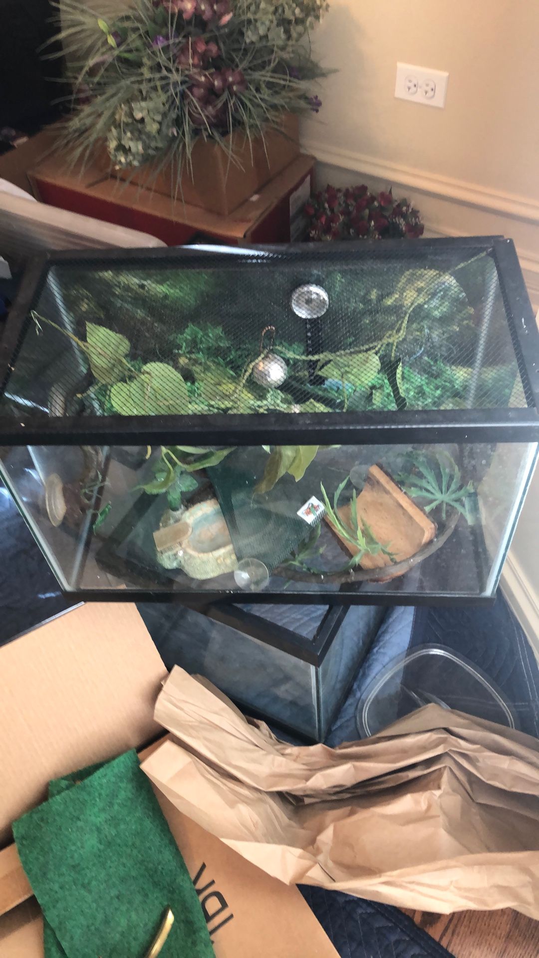 Reptile Tank w/Lid and Accessories 