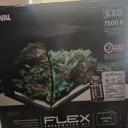 Dry Aquarium 