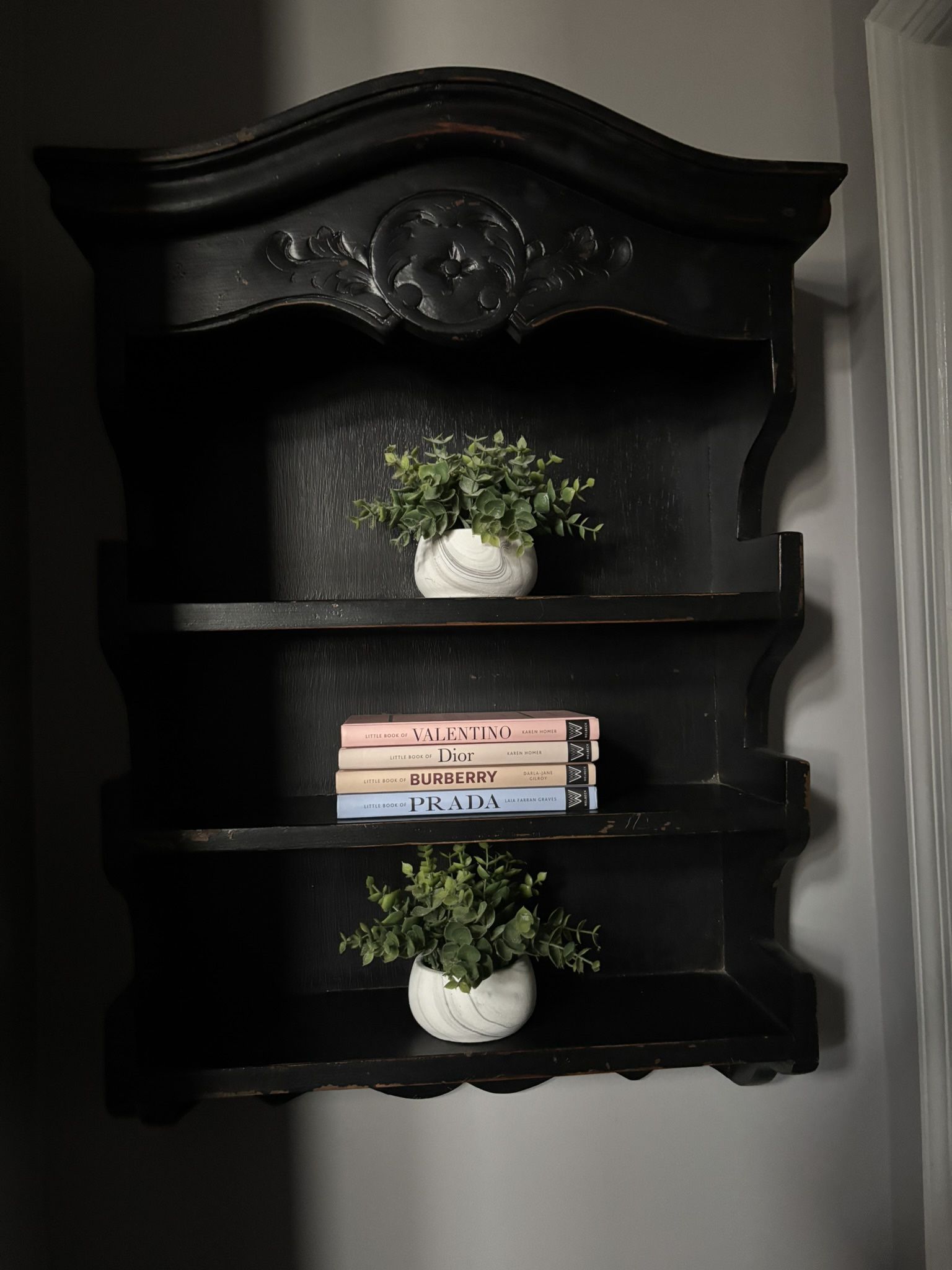 Platypus Wall Cabinet