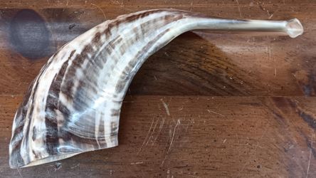 Natural Ram Horn Shofar