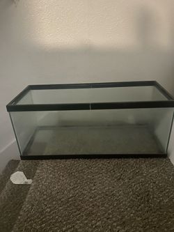 Fish tank