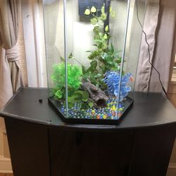 20 Glns Fish Tank