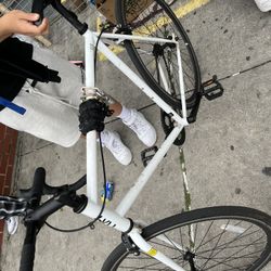 Fixie Bike