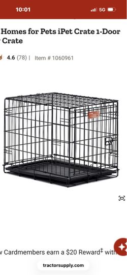 Kennel