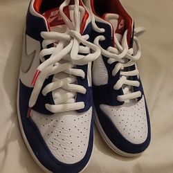 Nike SB Dunk 