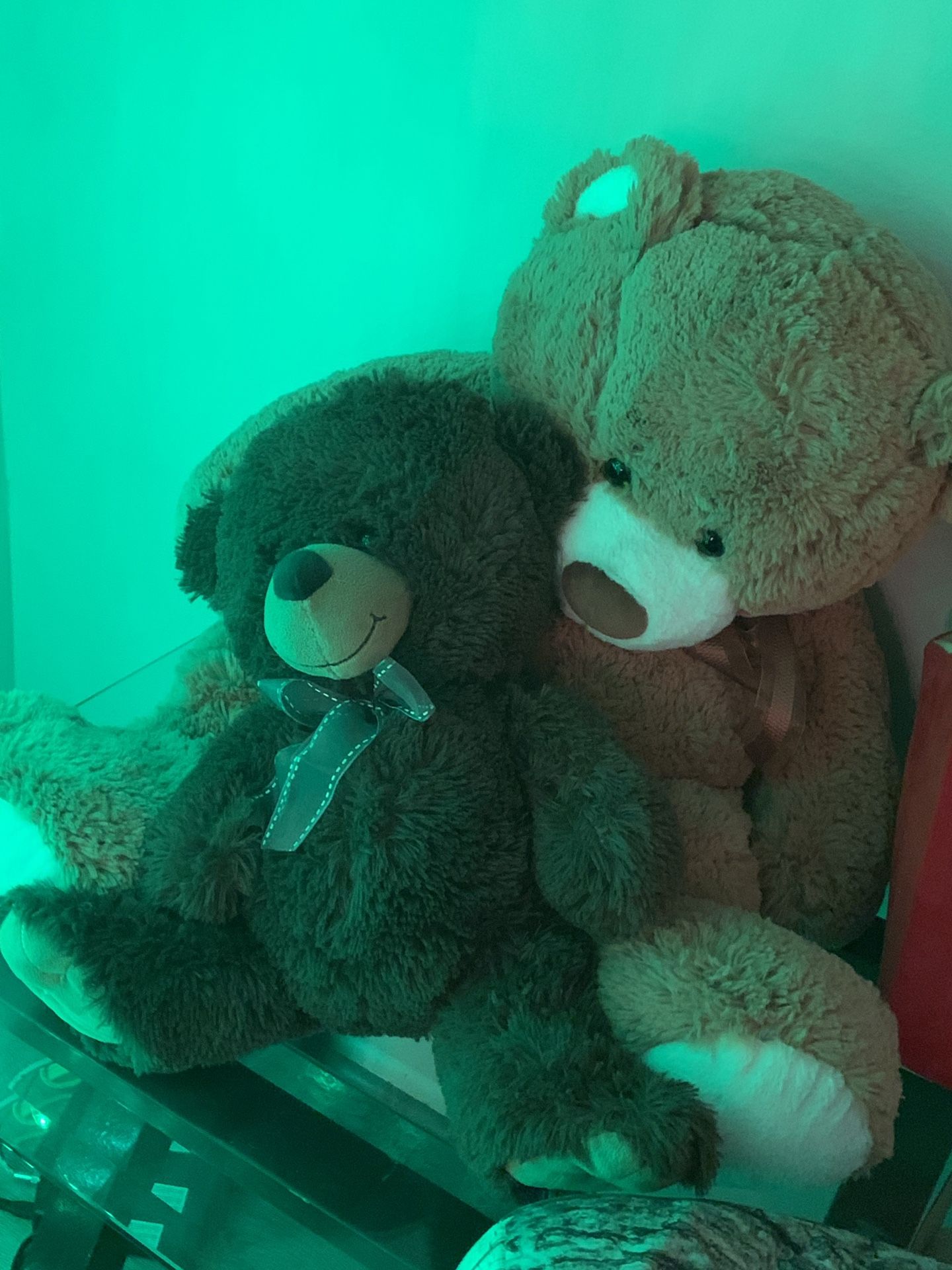 GIANT TEDDY AND NORMAL SIZE TEDDY BEAR
