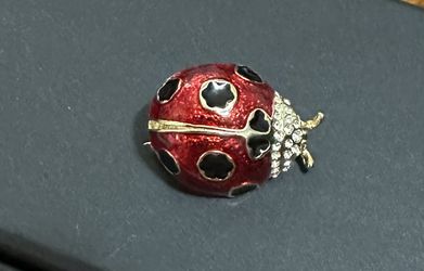 Ladybug Brooch Pin
