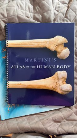 Book Of The Human Body 