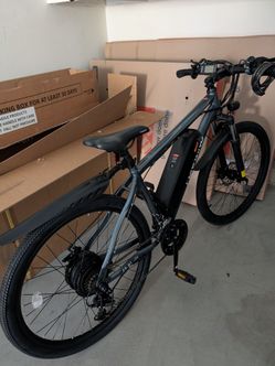 1000W E-Bike