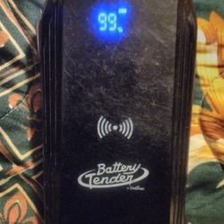 Deltran Battery Charger 
