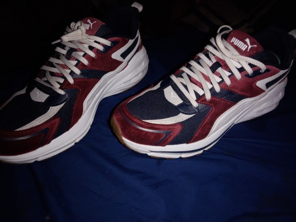 Pumas