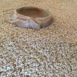 Reptile food or water dish