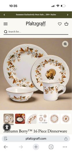 16 piece dinnerware set; Autumn Berry