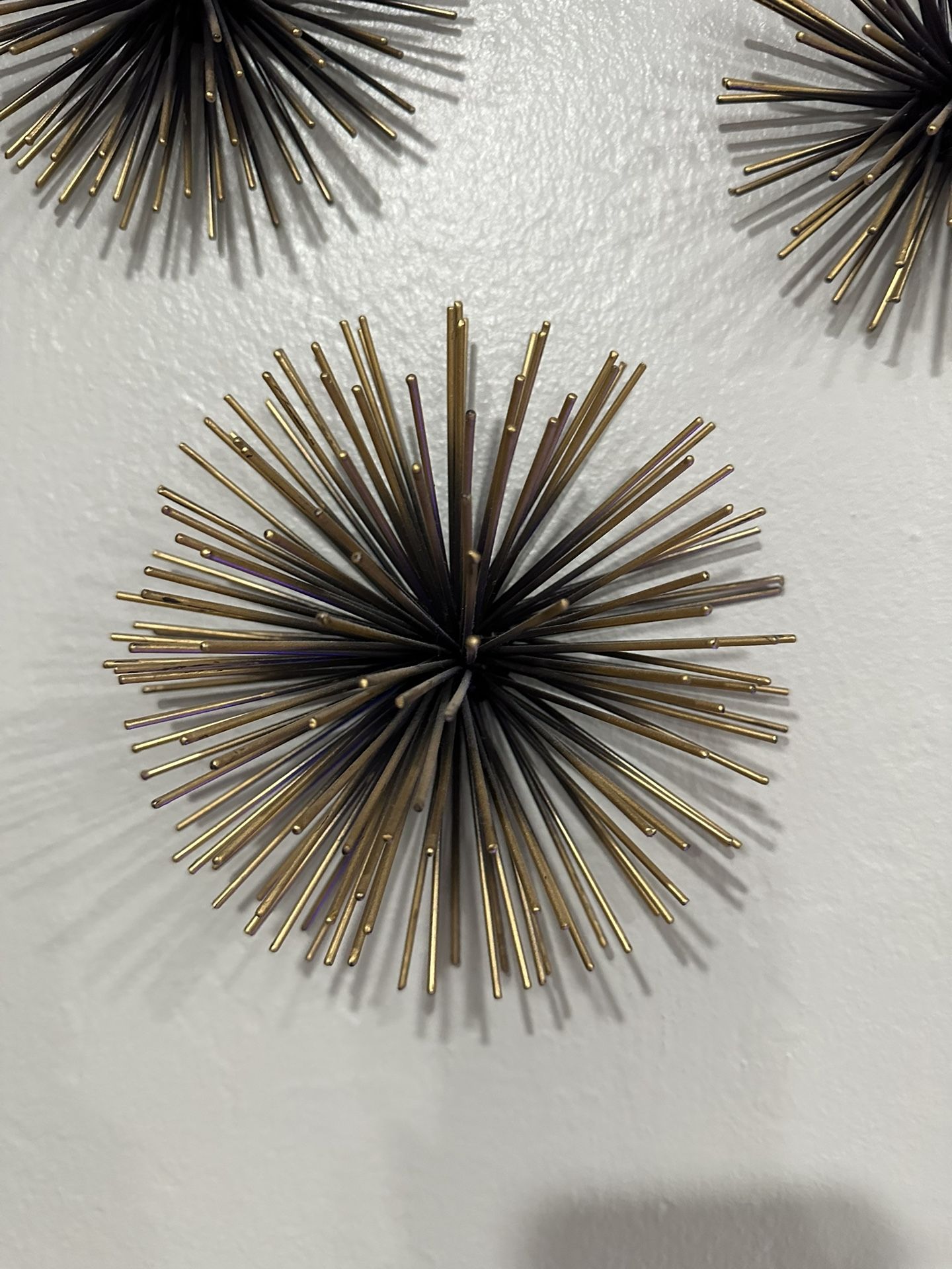 Sea Urchin Wall Decor. (12 Pieces)