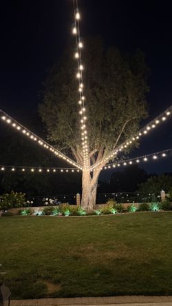 String Lights