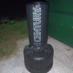 Century Wave Master Kick Boxing Bag W/ Stand