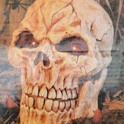 Halloween Skull Light & Voice..brand New In The Box