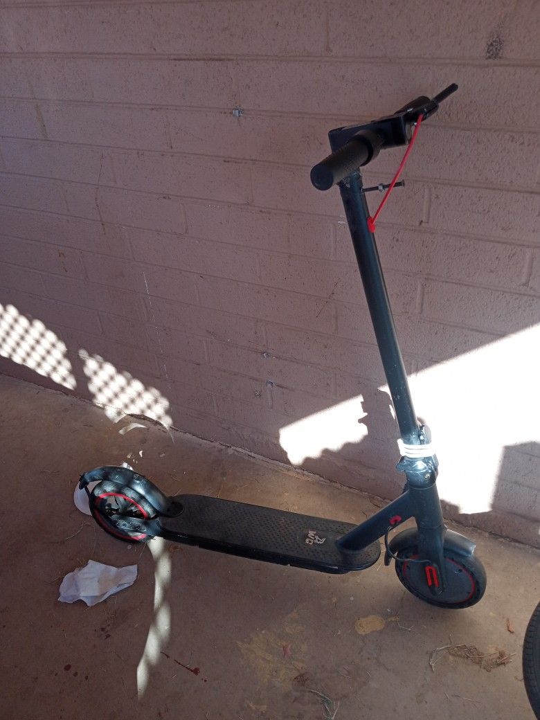 Ninebot Electric Scooter