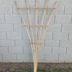 Trellis
