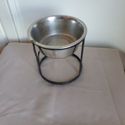 Small Dog Dish