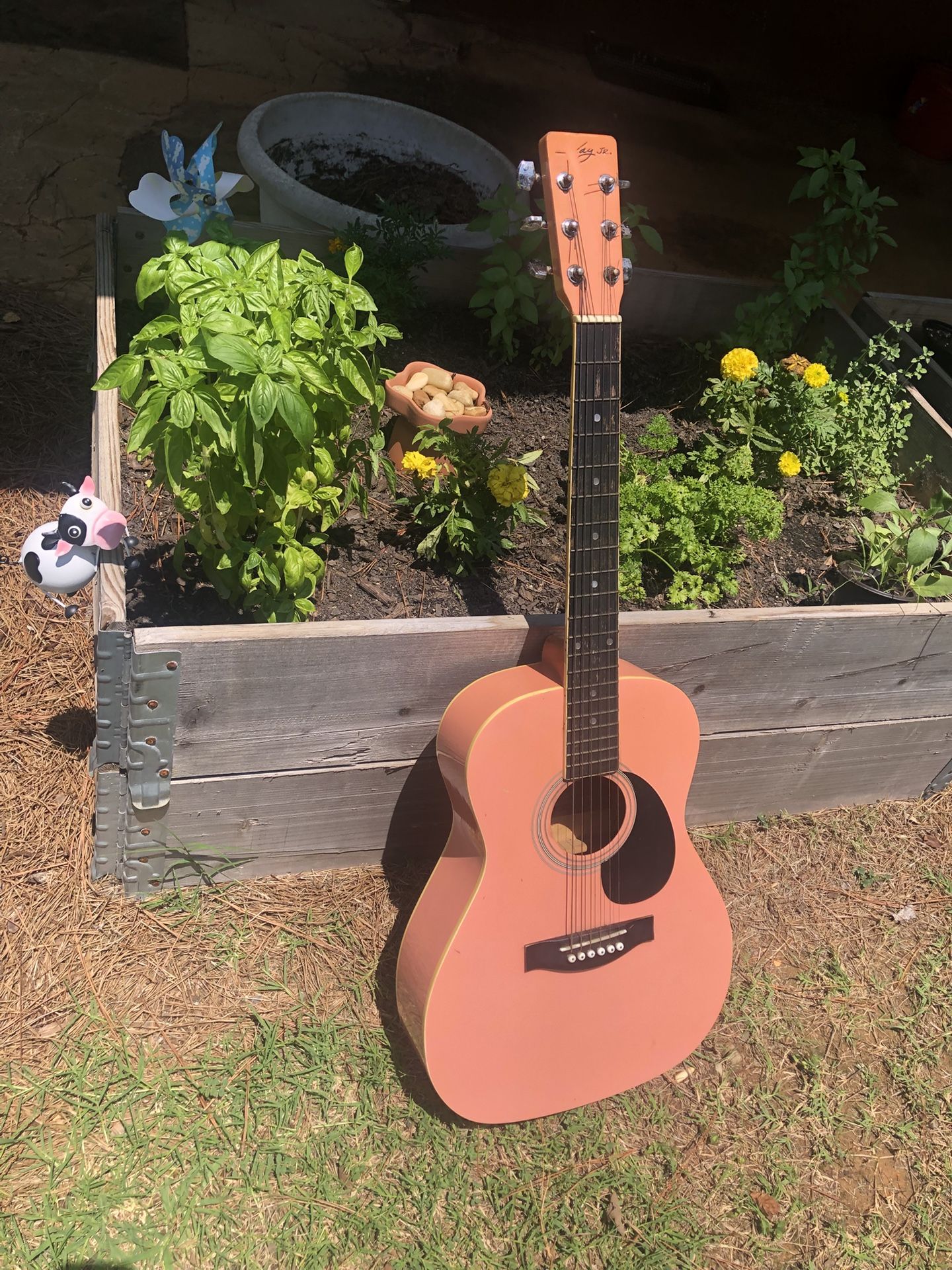 Beginner Guitar