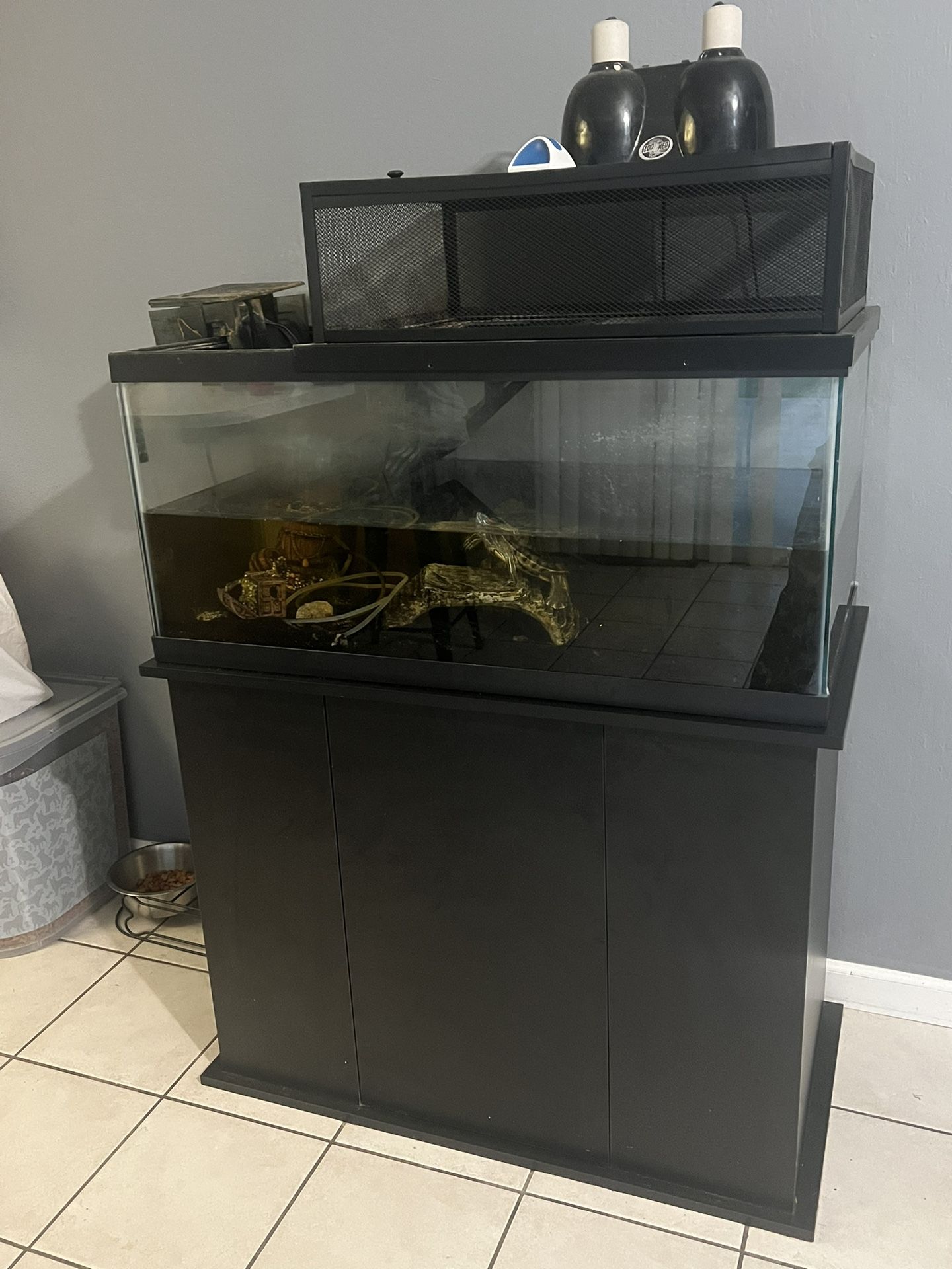 40 Gallon Fish Tank