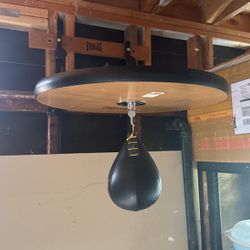 Everlast Speed Bag