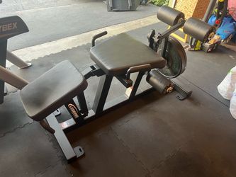 Legend Fitness leg extension curl combo