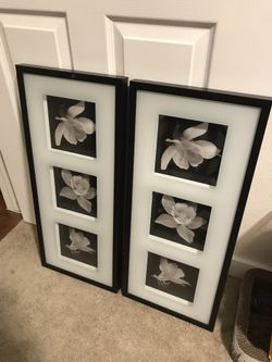 Identical 2-Piece Floral Photo Framed