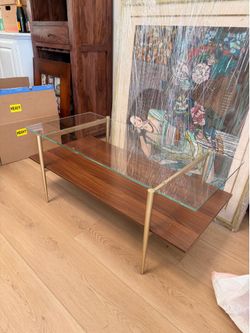 Glass and Wood Coffee Table