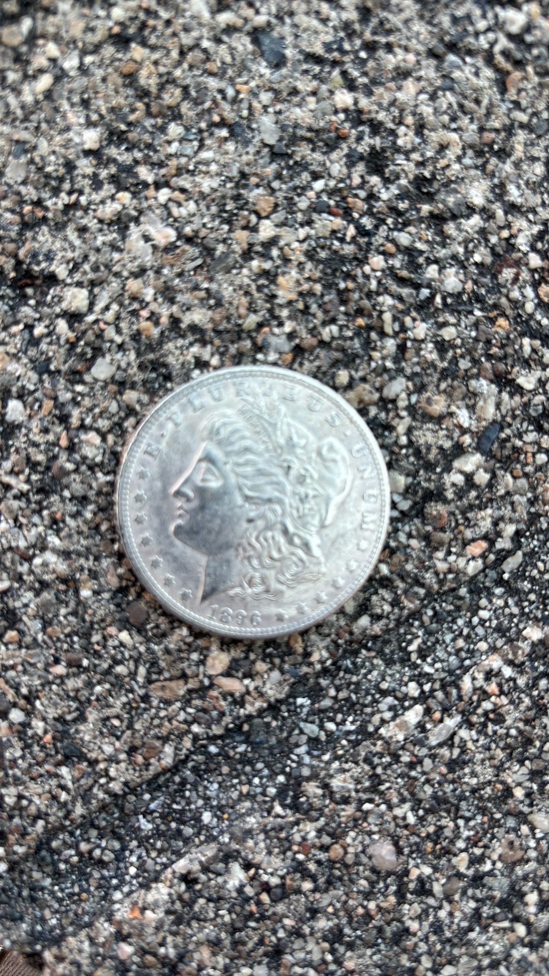 1896 Morgan Dollar One Dollar