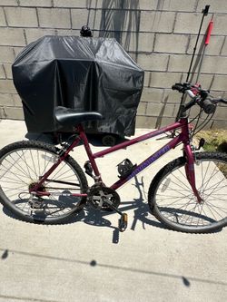 Roadmaster RockHazzard with spare tubes