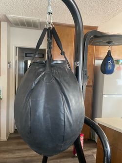 Everlast 100lb. Bag  setup with Speedbag.