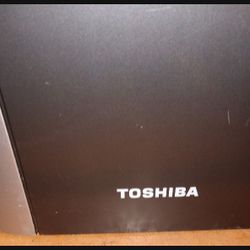Toshiba Subwoofer