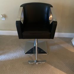 Salon Chair